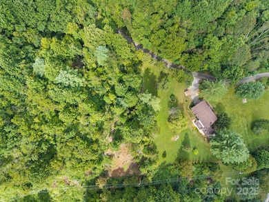 41 Red Fox Den Rd, Mars Hill, NC 28754 - photo 3