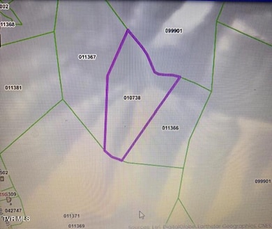 Tbd Cranes Nest Rd, Coeburn, VA 24230 - photo 2