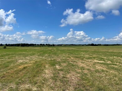 010 Tamplen W, Whitesboro, TX 76273 - photo 4