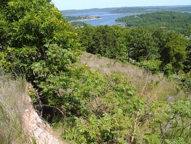 Tbd Johnson Way Ln, Kimberling City, MO 65686 - photo 4