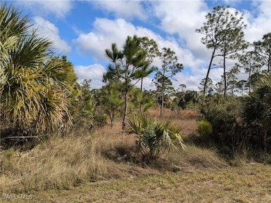 View of nature