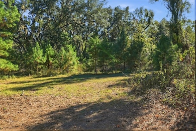 0 SW Paradise Way unit MFRTB8442555, Greenville, FL 32331 - photo 6