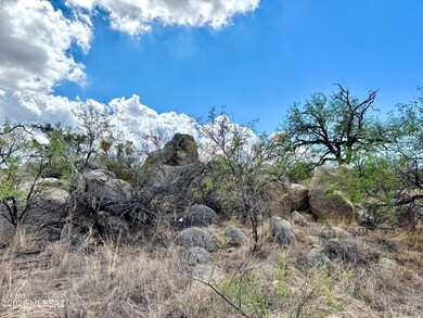2.5 Acres W Linda Vista Rd, Oracle, AZ 85623 - photo 6