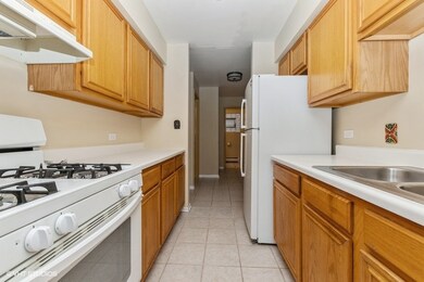 6113 W 64th Place unit 4, Chicago, IL 60638 - photo 3