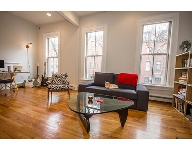 31 E Springfield St unit 2, Boston, MA 02118 - photo 5