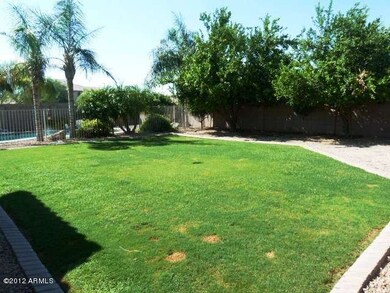 backyard (2)