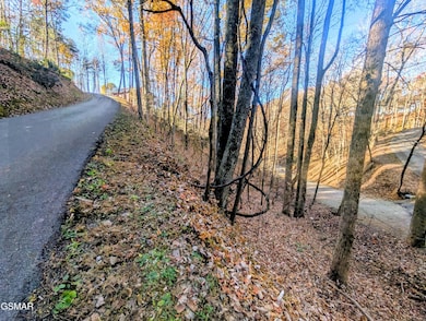 Lot 194A Ski View Ln, Sevierville, TN 37876 - photo 3