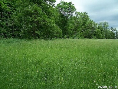 Land.