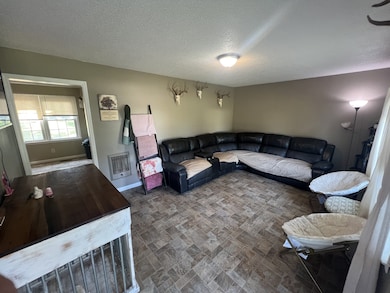 176 Thompson Dr, Minor Hill, TN 38473 - photo 4