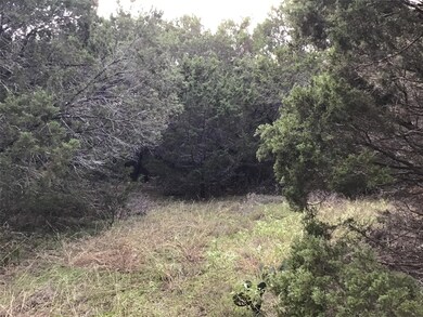 19019 Bluebonnet Dr, Whitney, TX 76692 - photo 6