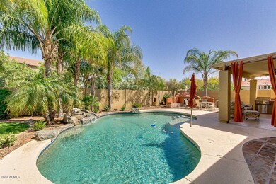 Backyard Oasis