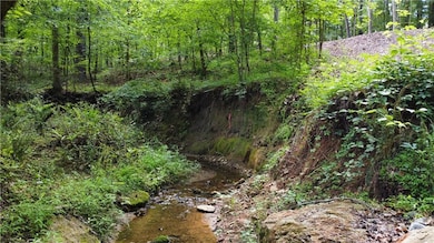 View of tree filled area