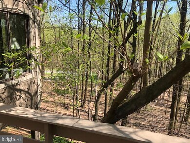 100 Beech View Ct, Towson, MD 21286 - photo 7