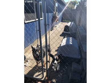 Dog Run
