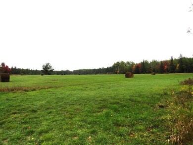 48127 Kestrel Ave, Tamarack, MN 55787 - photo 5