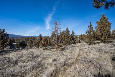 2023_03_17_lot_38_cinder_cone_loop_crr-3