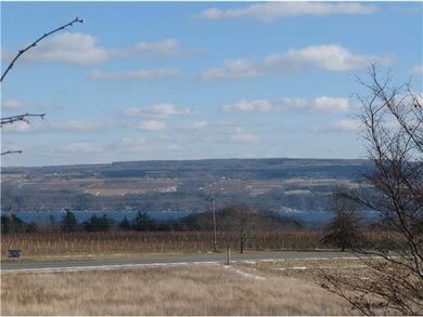 View View of Seneca Lake from Living Room