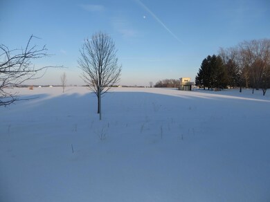 Large back yard