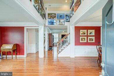 4708 Barnum Ln, Alexandria, VA 22312 - photo 6