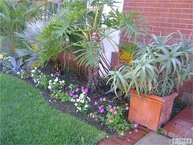 Front yard