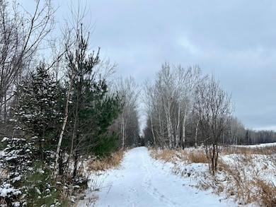 ON Max Rd unit 40 Acres, Schoepke, WI 54463 - photo 4