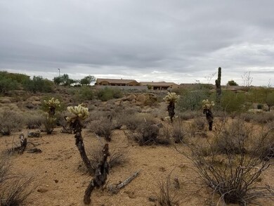 View towards Preserve area