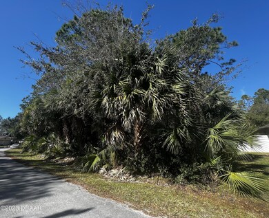 36 Palm Ln 4