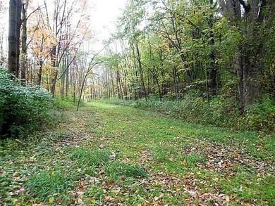 Land/Lot.