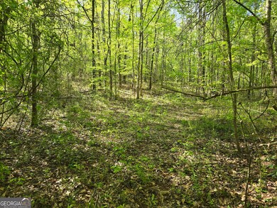LOT 19 Smith Rd, Thomaston, GA 30286 - photo 5