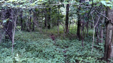 IMG_20140708_165358_807