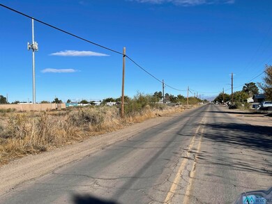 xxxx S 8th St, Deming, NM 88030 - photo 3