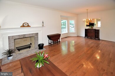 3623 Ransom Place, Alexandria, VA 22306 - photo 3