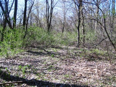 Lot 4 Gold Dr, Fitchburg, WI 53711 - photo 5