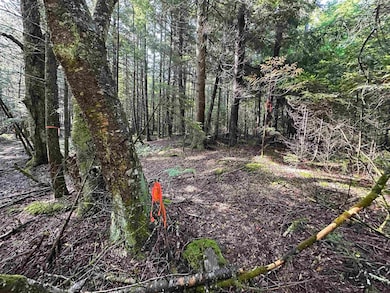 Recently Surveyed & flagged