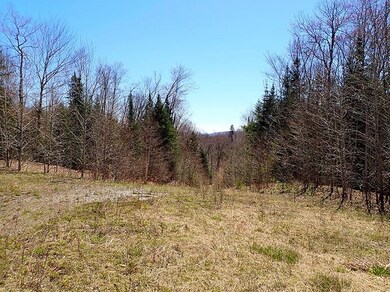 0 Route 2 Route unit 4911667, St. Johnsbury, VT 05819 - photo 2