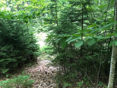 00 Skytop Dr, Newbury, NH 03255 - photo 4