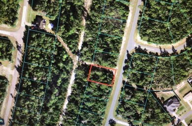 0 SW 161 Loop unit OM641467, Ocala, FL 34473 - photo 2