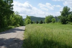 Field