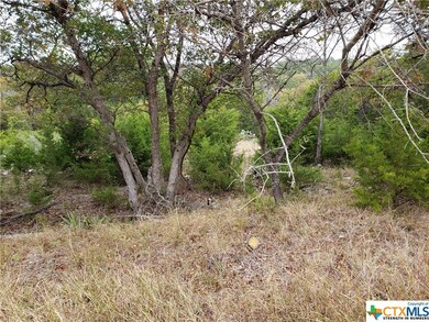 15831 Loveta Lane Ct, Temple, TX 76502 - photo 6