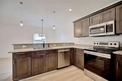 Kitchen to Dining area pic