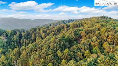 2095 Elk Ridge Rd, Ferguson, NC 28624 - photo 5