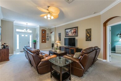 Great Room with Crown Molding and High Ceilings