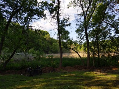 Backyard View