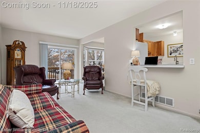 882 Natures Cove Ct, Wixom, MI 48393 - photo 7