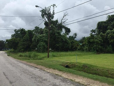 826 Prosper St, Houston, TX 77088 - photo 2