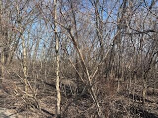 8505 Juniper Rear Trail, Highland, IN 46322 - photo 2