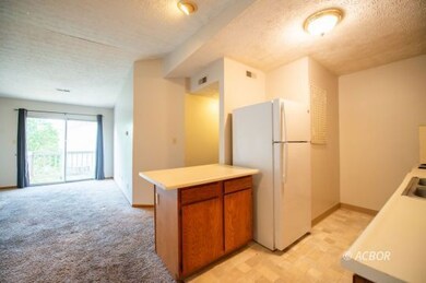 Kitchen and living room