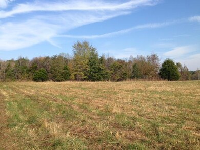 3770 Pollard Rd, Walling, TN 38587 - photo 2