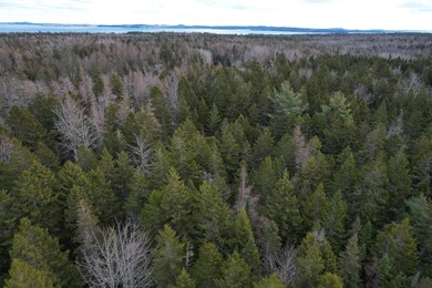 Lot 51 Route 1, Pleasant Point, ME 04667 - photo 4