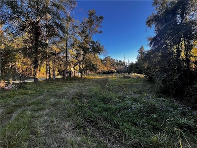 59465 Neslo Rd, Slidell, LA 70460 - photo 2